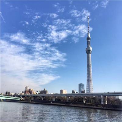 果盘随机点数大师手游下载