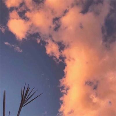 刀剑神狱测试版下载